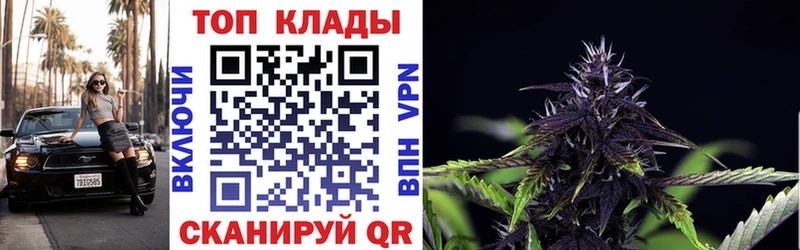 Наркошоп купить Гашиш  Кетамин  АМФ  Метамфетамин  МЕФ  Альфа ПВП  Гвардейск