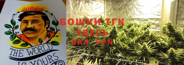прущие крисы Елабуга